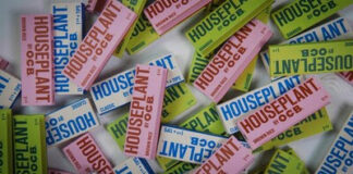 HOUSEPLANT AND OCB PARTNER TO LAUNCH ROLLING PAPERS AND CONES Houseplant x OCB rolling papers