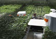 Neatleaf Secures $4m in Funding Led by AgFunder Neatleaf Spyder