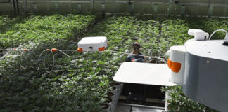 Neatleaf Secures $4m in Funding Led by AgFunder Neatleaf Spyder