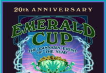 Tim Blake, The Emerald Cup to Mark 20th Anniversary with Grand Celebration May 4-5 image (1)