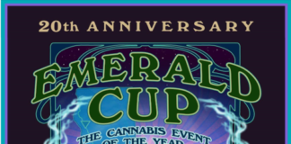 Tim Blake, The Emerald Cup to Mark 20th Anniversary with Grand Celebration May 4-5 image (1)