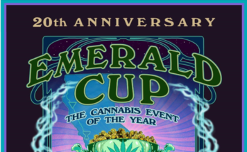 Tim Blake, The Emerald Cup to Mark 20th Anniversary with Grand Celebration May 4-5 image (1)