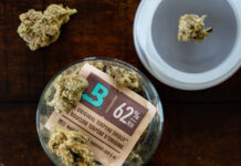 Boveda Inc. Collaborates With ICQSA to Advance International Cannabis Quality Frameworks Boveda