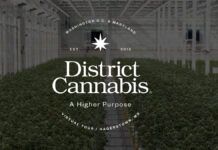 District Cannabis Bolsters Leadership Team District Cannabis logo