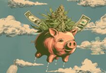 Greenbax Marketplace: ‘Business as Usual’ for Unusual Businesses Greenbax Marketplace