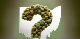 Uncertainty Prevails as Ohio Enters New Era of Adult Use Ohio adult-use cannabis regulations