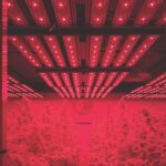 8 Products to Optimize Your Grow indoor grow lights