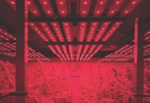 8 Products to Optimize Your Grow indoor grow lights