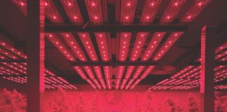 8 Products to Optimize Your Grow indoor grow lights