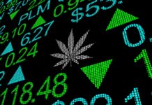 CannaBusiness ERP Is Making Success an Art Form Marijuana, Pot, Weed, Cannabis, Stock, Company, Business, Market, 3d, Illustration