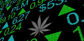CannaBusiness ERP Is Making Success an Art Form Marijuana, Pot, Weed, Cannabis, Stock, Company, Business, Market, 3d, Illustration