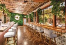 13 Dispensaries That Dared to Be Different With Great Success Cannabis Cafe Interior1