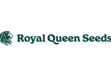 New Survey Shows Many Americans Concerned About Unsafe Cannabis Royal Queen Seeds logo