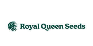 New Survey Shows Many Americans Concerned About Unsafe Cannabis Royal Queen Seeds logo