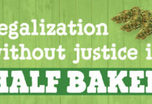 Ben & Jerry’s Doubles Down on Cannabis Justice Advocacy, Calls for Cleared Records Half-Baked project