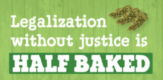 Ben & Jerry’s Doubles Down on Cannabis Justice Advocacy, Calls for Cleared Records Half-Baked project