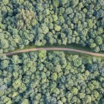 Exploring Cannabis Culture: Northern California Launches First-Ever Cannabis Trail Trail moving through forest overhead shot