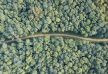 Exploring Cannabis Culture: Northern California Launches First-Ever Cannabis Trail Trail moving through forest overhead shot