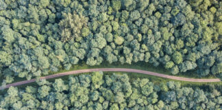 Exploring Cannabis Culture: Northern California Launches First-Ever Cannabis Trail Trail moving through forest overhead shot