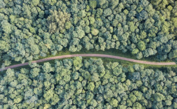 Exploring Cannabis Culture: Northern California Launches First-Ever Cannabis Trail Trail moving through forest overhead shot