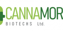CannaMore Biotechs Completes Phase 2a Clinical Trial for Cannabidiol-Based Ulcerative Colitis Treatment CannaMore Biotechs logo