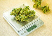 New Federal Weight Guidelines Address Deceptive Cannabis Packaging Cones,Of,Cannabis,Flowers,On,The,Scales.,Measuring,Of,Buds