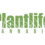 Plantlife Cannabis Makes History at the Great Outdoors Comedy Festival Plantlife Cannabis Logo