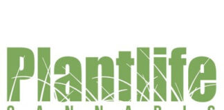 Plantlife Cannabis Makes History at the Great Outdoors Comedy Festival Plantlife Cannabis Logo