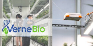 Verne Bio, Neatleaf Partner on AI Data to Enhance Pathogen and Genetic Testing for Cannabis Operators Verne Bio x Neatleaf partnership