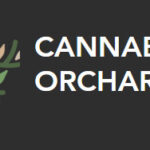 Cannabis Orchards Secures Grants for Hemp Research on Polyploidy and Minor Cannabinoids Cannabis Orchards Inc logo