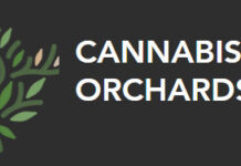 Cannabis Orchards Secures Grants for Hemp Research on Polyploidy and Minor Cannabinoids Cannabis Orchards Inc logo