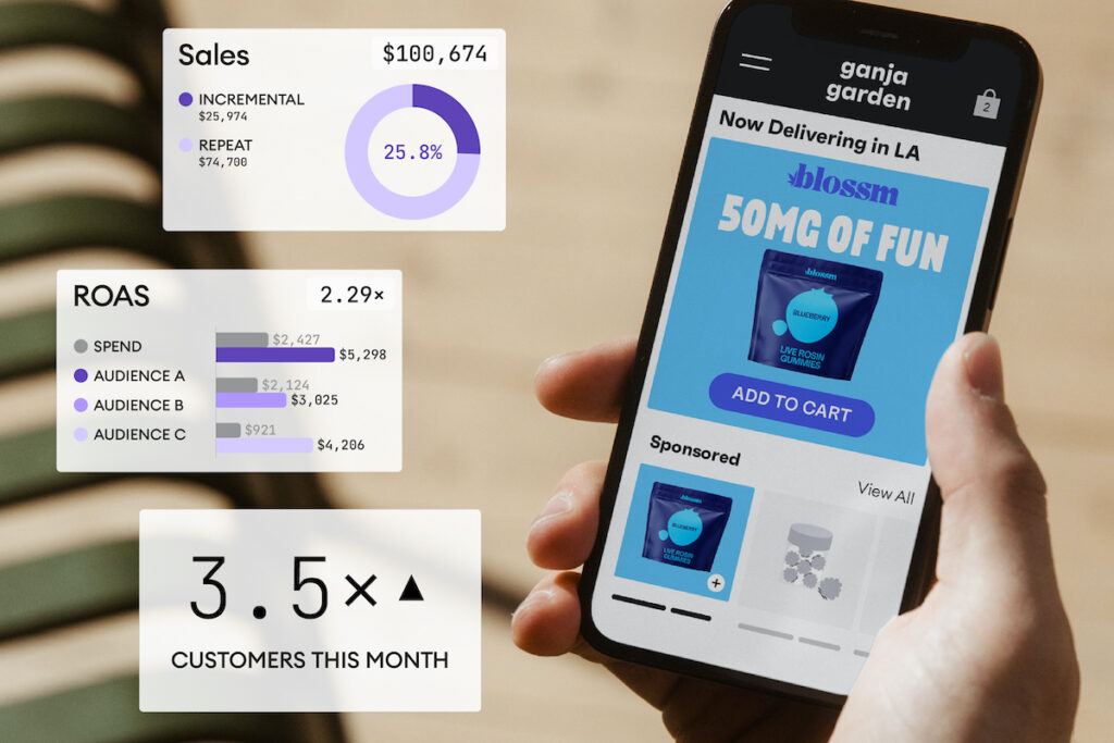 Surfside app and stats