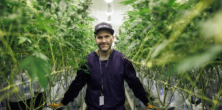 Premier Tech Has Solutions for Every Cannabis Cultivator Purple Farm Genetics by Pro-Mix, mg Magazine