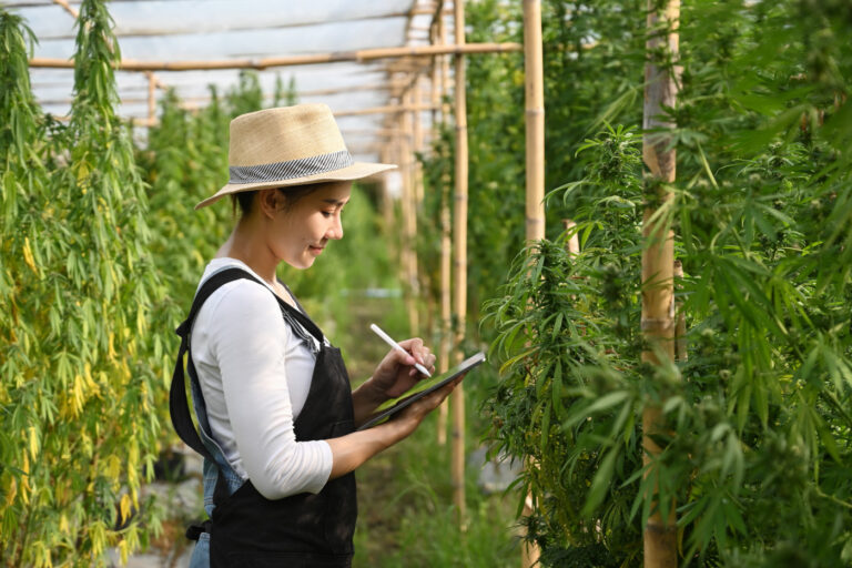 7 Hot Jobs in the Cultivation Sector