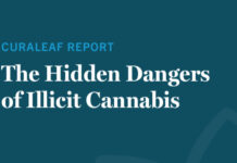 UK Report: Online and Unregulated Cannabis Poses Serious Health Risks Curaleaf illicit cannabis dangers report UK mg Magazine