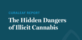 UK Report: Online and Unregulated Cannabis Poses Serious Health Risks Curaleaf illicit cannabis dangers report UK mg Magazine
