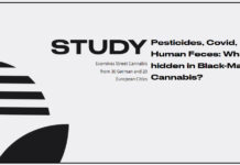 Study Finds German Cannabis Contaminated with Dangerous Pesticides, Cocaine, Feces German Cannabis Study