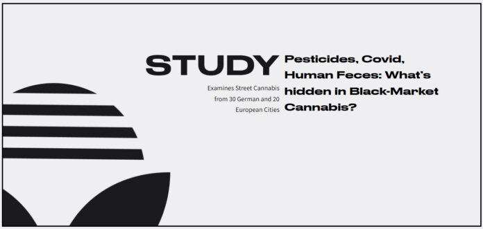 German Cannabis Study