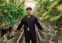 Cultivate This! PurpleFarmGenetics-513-HR