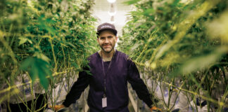 Cultivate This! PurpleFarmGenetics-513-HR