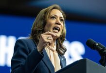 Kamala Harris Wants to Legalize Cannabis at the Federal Level Vice President Kamala Harris speaking at event. Federal cannabis legalization agenda policy