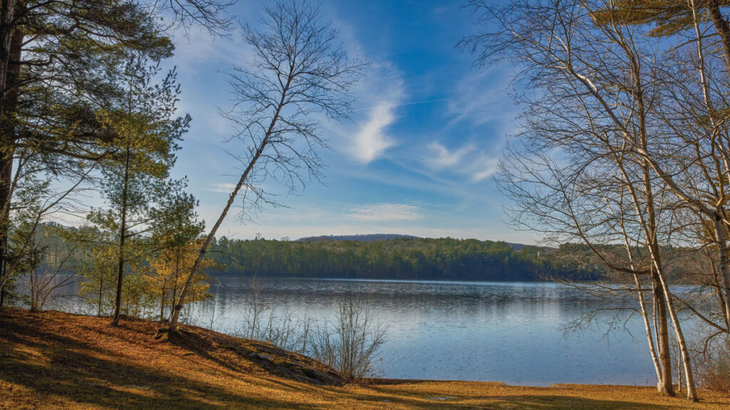 Sweetgrass Botanicals Laurel Lake