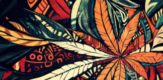 Indigenous Opportunities in Cannabis heymanifesto mg magazine indigenous creation