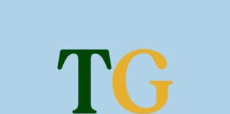 The Good Shroom Co Inc. Reports Q1 2025 Results Good Shroom Co Inc. logo