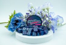 From Budtender to Brand President dailed in gummies display