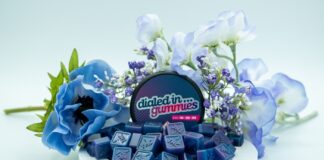 From Budtender to Brand President dailed in gummies display