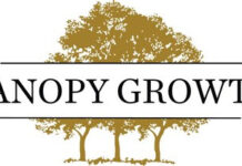 Canopy Growth Reports Third Quarter Fiscal Year 2025 Financial Results Canopy Growth logo