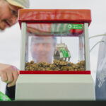 More than 1K Attend Free Cannabis Carnival in Florida MMJ Health cannabis carnival Florida Jan2025