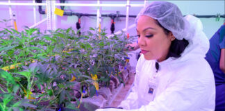 Women Grow Leadership Summit: Women as Agents of Change Dr. Chanda Macias, CEO, Women Grow Summit / mg Magazine