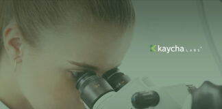 Kaycha Labs Selected by MA CCC for Statewide Cannabis Testing Services Kaycha Labs logo